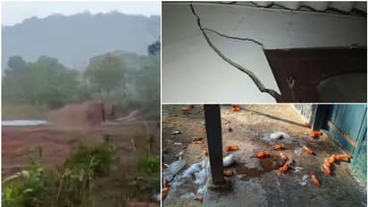 ഇടുക്കിയില് കൂട്ടമായി നാട്ടിലിറങ്ങി കാട്ടാനകള്; എന്തുചെയ്യണം എന്നറിയാതെ നാട്ടുകാര്