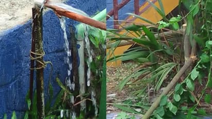 ഏഴാറ്റുമുഖം പ്രകൃതി ഗ്രാമത്തിലും കാട്ടാനക്കൂട്ടത്തിന്റെ ആക്രമണം; ചെടിച്ചട്ടികളും ഗ്രില്ലുകളും തകര്ത്തു