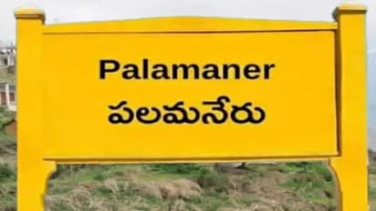 పలమనేరు అసెంబ్లీ ఎన్నికల ఫలితాలు 2024