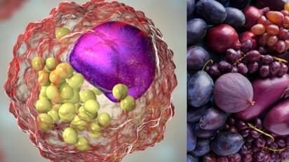 പര്‍പ്പിള്‍ നിറത്തിലുള്ള ഈ പഴങ്ങള്‍ കഴിക്കൂ, കൊളസ്ട്രോള്‍ കുറയ്ക്കാം... 