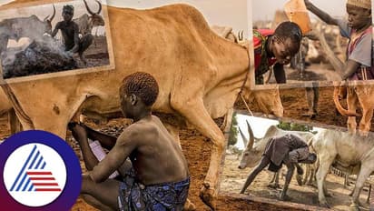 ಕೂದಲಿಗೆ ಗೋ ಮೂತ್ರ, ಹಲ್ಲಿಗೆ ಸಗಣಿ ಬಳಸೋ ಇವರ ಕೈಯಲ್ಲಿ ಸದಾ ಮಷಿನ್ ಗನ್ ಇರುತ್ತೆ!