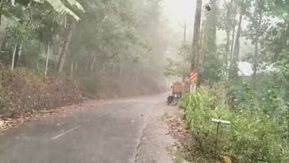 ഓട്ടോറിക്ഷയുടെ മുകളില് മരം വീണ് 25കാരന് ഗുരുതര പരിക്ക്...