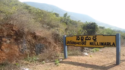 నెల్లిమర్ల అసెంబ్లీ ఎన్నికల ఫలితాలు 2024