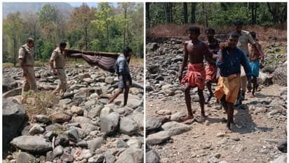 കാട്ടാനയുടെ ആക്രമണം: യുവതിയുടെ മൃതശരീരവുമായി പൊലീസും ബന്ധുക്കളും ഉള്ക്കാട്ടിലൂടെ നടന്നത് 20 കിലോമീറ്റര്