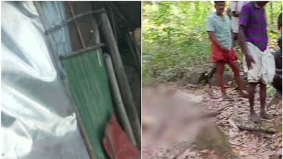 ഇടുക്കിയിൽ വീണ്ടും ചക്കക്കൊമ്പൻ്റെ പരാക്രമം; വയനാട്ടിൽ മരിച്ച മിനിയുടെ പോസ്റ്റ്മോർട്ടം ഇന്ന്