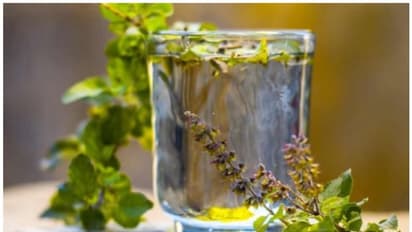 Tulsi Water: ప్రతిరోజూ ఉదయాన్నే తులసివాటర్ తాగితే ఏమౌతుంది?
