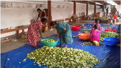 ഈ പള്ളിയില് ദുഃഖവെള്ളി ദിനത്തില് 'സ്പെഷ്യല് കടുമാങ്ങ'; 'ഇത്തവണ കഞ്ഞിക്കൊപ്പം നല്കുന്നത് 3500 കിലോ'