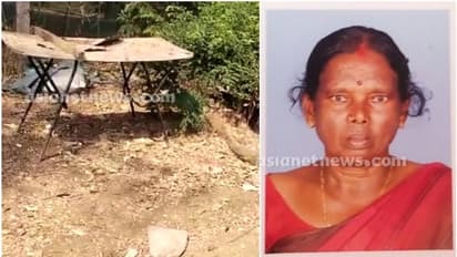 പാലക്കാട്ട് സ്ത്രീയുടെ കാൽ കാട്ടുപന്നി കടിച്ചു മുറിച്ചു; ഗുരുതരാവസ്ഥയിലെന്ന് വിവരം