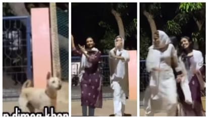 'ചേച്ചിമാരെ ഞാനൂടെ...', 'ന്‍റുമ്മാ...'; ഷൂട്ടിനിടെ തെരുവ് നായ എത്തിയ റീല്‍സ് വൈറല്‍ !