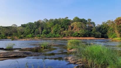 ಮಂಗಳೂರು: ಮಗುವಿನೊಂದಿಗೆ ನದಿಗೆ ಹಾರಿ ತಾಯಿ ಆತ್ಮಹತ್ಯೆ