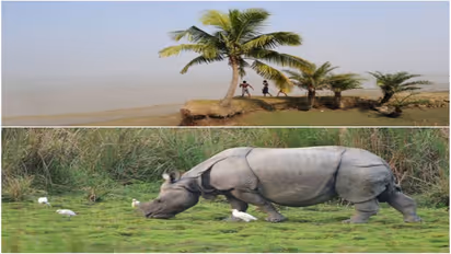 Explore World Heritage Sites: 5 significant UNESCO World Heritage Sites of Northeast India you must visit