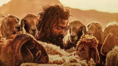 പൃഥ്വിരാജിന്റെ ആടുജീവിതം ബഹ്റൈനിലേക്ക്, യുഎഇ കളക്ഷൻ ഞെട്ടിക്കുന്നു