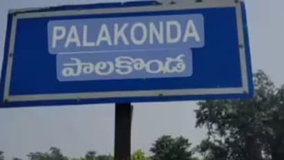 పాలకొండ అసెంబ్లీ ఎన్నికల ఫలితాలు 2024