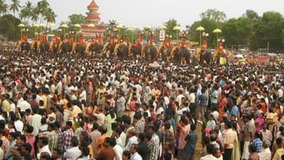 25 ആനകൾക്ക് അനുമതി, മൂന്ന് മീറ്റർ അകലം കൃത്യമായി പാലിക്കണം; കൊല്ലം പൂരത്തിനും കർശന ആനപരിപാലന ചട്ടം