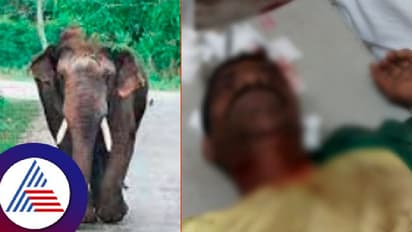 ಹಾಸನ: ಏಕಾಏಕಿ ಕಾಡಾನೆ ದಾಳಿ; ರೈತನ ಸ್ಥಿತಿ ಗಂಭೀರ!