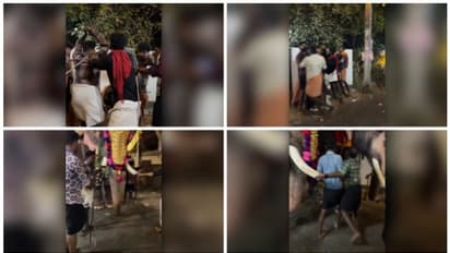 തൃശ്ശൂരിൽ പാപ്പാൻമാർ തമ്മിലടിച്ചു; കോട്ടയം സ്വദേശിയായ ഒരാൾക്ക് പരിക്കേറ്റു