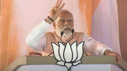 'Will protect Bharat from corrupt': PM Modi vows to take big decisions in first 100 days of 3rd term (WATCH)