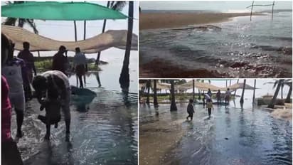 Kerala: Summer rains expected in 4 districts today; sea storms in coastal areas likely to continue