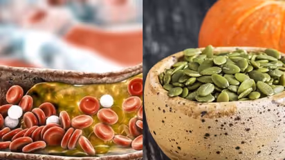 ചീത്ത കൊളസ്ട്രോള് കുറയ്ക്കണോ? ഡയറ്റില് ഉള്പ്പെടുത്താം ഈ ആറ് വിത്തുകള്...