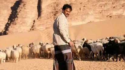 'മണ്ഡേ ടെസ്റ്റ്' ഞായറാഴ്ചയേ പാസ്സായി ആടുജീവിതം; ബോക്സ് ഓഫീസില് ഇത് അപൂര്വ്വത, കണക്കുകള്