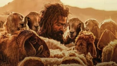 ഞായറാഴ്‍ച പൃഥ്വിരാജിന്റെ ആടുജീവിതം നേടിയത്, കളക്ഷൻ കണക്കുകള്‍ കേട്ട് ഞെട്ടി മോളിവുഡ്