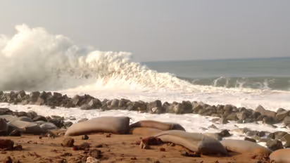 'കള്ളക്കടല്‍ പ്രതിഭാസം', ഇന്നും കടലാക്രമണത്തിന് സാധ്യത; ഉയർന്ന തിരമാലകളുണ്ടാകുമെന്ന് മുന്നറിയിപ്പ് 