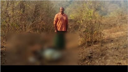 അഗളിയിൽ പുലിയിറങ്ങി, പശുക്കുട്ടിയെ കൊന്നു, വീടിന്റെ ജനലും തകർത്തു