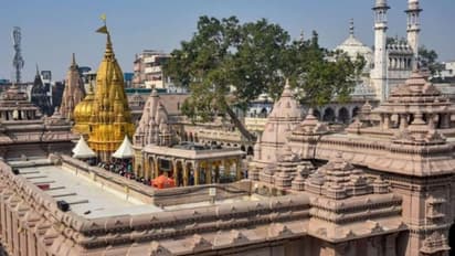 UP News: ज्ञानवापी पर अब मुस्लिम पक्ष को यहां से भी मिली मायूसी...Lower Court का फैसले रहेगा बरकरार