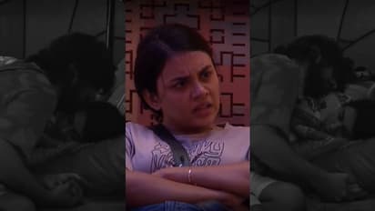 ജാസ്മിൻ കളി തുടങ്ങി, 'ഐ ലവ് യു' പറഞ്ഞ് ഗബ്രി, 'ജബ്രി' കോമ്പോയിൽ പൊട്ടിത്തെറി, ഇനി എന്ത് ?