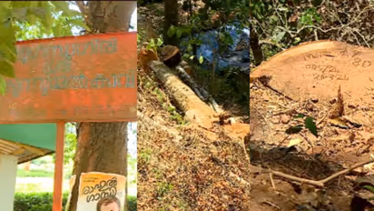 സുഗന്ധഗിരി മരംമുറിക്കേസില്‍ നടപടി; വനംവകുപ്പ് ഉദ്യോഗസ്ഥ കെ നീതുവിന് സസ്പെന്‍ഷന്‍ 