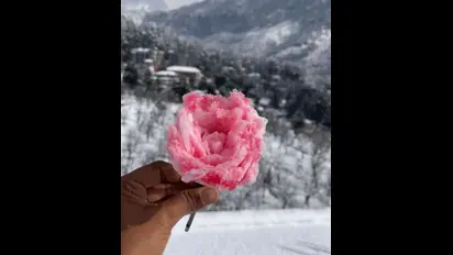 Influencer crafts rose ice cream using snow, enjoying it like a gola; Online users express concern (WATCH)