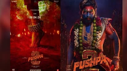 బన్నీ ఫ్యాన్స్ కు బర్త్ డే గిఫ్ట్.. గెట్ రెడీ బాయ్స్.. అల్లు అర్జున్ పుష్ప2 నుంచి సాలిడ్ అప్ డేట్..