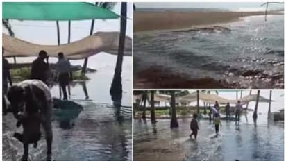 കള്ളക്കടൽ പ്രതിഭാസം; നാളെ ഉയർന്ന തിരമാലക്ക് സാധ്യത; കേരള-തമിഴ്നാട് തീരത്ത് ജാഗ്രത നിർദ്ദേശം