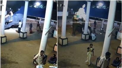 കോട്ടയത്ത് ഉത്സവ എഴുന്നള്ളിപ്പിനിടെ ആന ഇടഞ്ഞു, പാപ്പാനെ ചവിട്ടിക്കൊന്നു