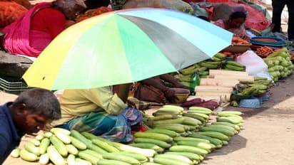 ಬಿಸಿಲಿನ ಝಳ ಏರಿಕೆ: ತರಕಾರಿ, ಮಾಂಸ ಬೆಲೆ ಗಗನಕ್ಕೆ, ಕಂಗಾಲಾದ ಗ್ರಾಹಕ..!