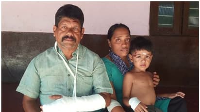 ബൈക്കിൽ പോകവേ കാട്ടുപന്നി പാഞ്ഞ് വന്നിടിച്ചു; 5 വയസുകാരനും മാതാപിതാക്കള്ക്കും പരിക്ക്