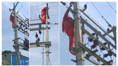 7 വർഷത്തെ വിവാഹേതര ബന്ധം ഭർത്താവ് കൈയോ‌ടെ പൊക്കി, ഹൈടെൻഷൻ വൈദ്യുതി പോസ്റ്റിൽ വലിഞ്ഞ് കേറി യുവതി -വീഡിയോ