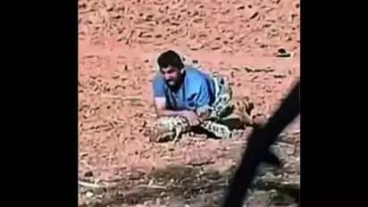 നടുക്കുന്ന ദൃശ്യം, മാധ്യമപ്രവർത്തകന്റെ കാലിൽ കടിച്ച് പുള്ളിപ്പുലി, ജീവനുവേണ്ടി പൊരിഞ്ഞ പോരാട്ടം, ഒടുവില്‍...