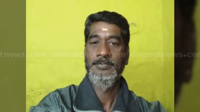 തേയില തോട്ടത്തിൽ മരുന്നടിക്കാൻ പോയ തൊഴിലാളി കാട്ടുപോത്തിന്റെ ആക്രമണത്തിൽ കൊല്ലപ്പെട്ടു