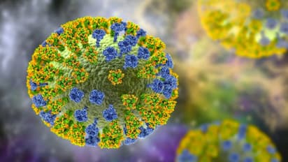 What is disease X? Is India ready to tackle another pandemic?