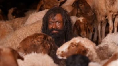 ഇനി വേണ്ടത് 7കോടിക്കടുത്ത്; മഞ്ഞുമ്മലും 2018ഉം വഴിമാറും ! ആ ചരിത്ര നേട്ടത്തിലേക്ക് ആടുജീവിതവും 