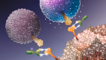 Rising cases of Cancer in India: How early screening can help in handling cancer burden?