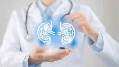 നിങ്ങളുടെ വൃക്കകളെ ശുദ്ധീകരിക്കാൻ ഡയറ്റില് ഉള്പ്പെടുത്തേണ്ട ഭക്ഷണങ്ങള്...