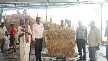 ಬರ ಪರಿಸ್ಥಿತಿ: ತುಮಕೂರಲ್ಲಿ ಮೇವು ಬ್ಯಾಂಕ್ಗೆ ಚಾಲನೆ