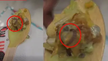 Viral video shows 'worms' in Ice cream inside a shop at mall, sparks outrage (WATCH)