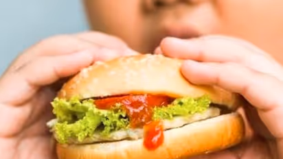 ಏನ್ ಹೇಳಿದ್ರೂ ಹೆಲ್ದೀ ಆಹಾರ ತಿನ್ನಲ್ಲ, ಮಕ್ಕಳ ಜಂಕ್ಫುಡ್ ಅಡಿಕ್ಷನ್ ಹೋಗಲಾಡಿಸುವುದು ಹೇಗೆ?