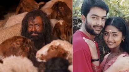 രാജു ചേട്ടാ..സിനിമ തീർന്നിട്ടും ഉള്ളിലൊരു ദാഹം, അത് നിങ്ങളെന്ന നടൻ തീർത്ത വിസ്മയം: നവ്യാ നായർ 