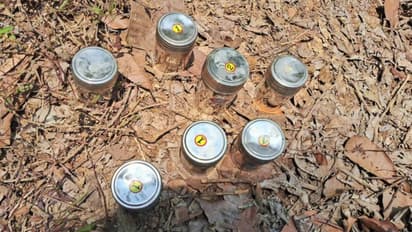 പാനൂര്‍ ബോംബ് നിര്‍മാണം; ഷിജാല്‍ ഡിവൈഎഫ്ഐ ഭാരവാഹി, സ്റ്റീൽ പാത്രങ്ങള്‍ വാങ്ങിയത് കല്ലിക്കണ്ടിയിൽ നിന്ന്