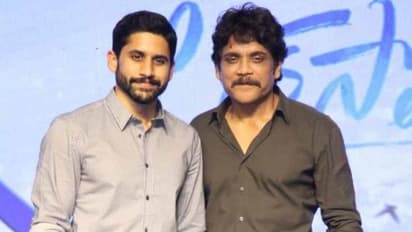 నాగచైతన్య బాగా నచ్చిన నాగార్జున రెండు సినిమాలు, సీక్వెల్ చేయడానికి రెడీ అవుతున్న అక్కినేని యంగ్ హీరో