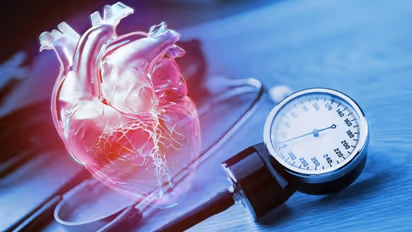 എത്ര നോക്കിയിട്ടും ബിപി കുറയുന്നില്ലേ? ബിപി കുറയ്ക്കാന് സഹായിക്കും ഈ ഭക്ഷണങ്ങള്...